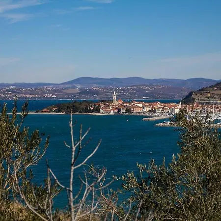 Holiday home Cosy House In Historic Centre Izola