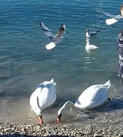 Cosy House In Historic Centre Semesterbostad *