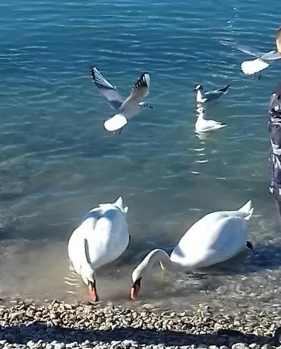 Cosy House In Historic Centre Semesterbostad *