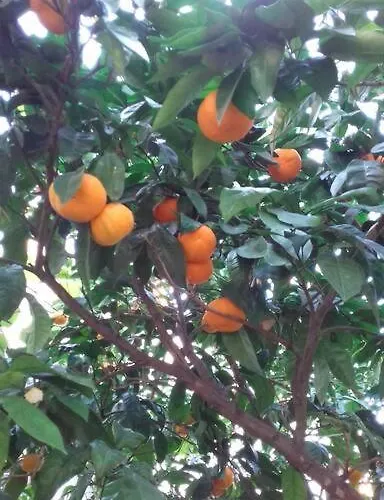 Cosy House In Historic Centre Izola