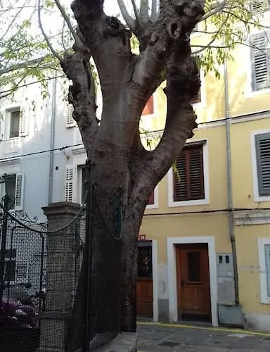 Cosy House In Historic Centre 펜션